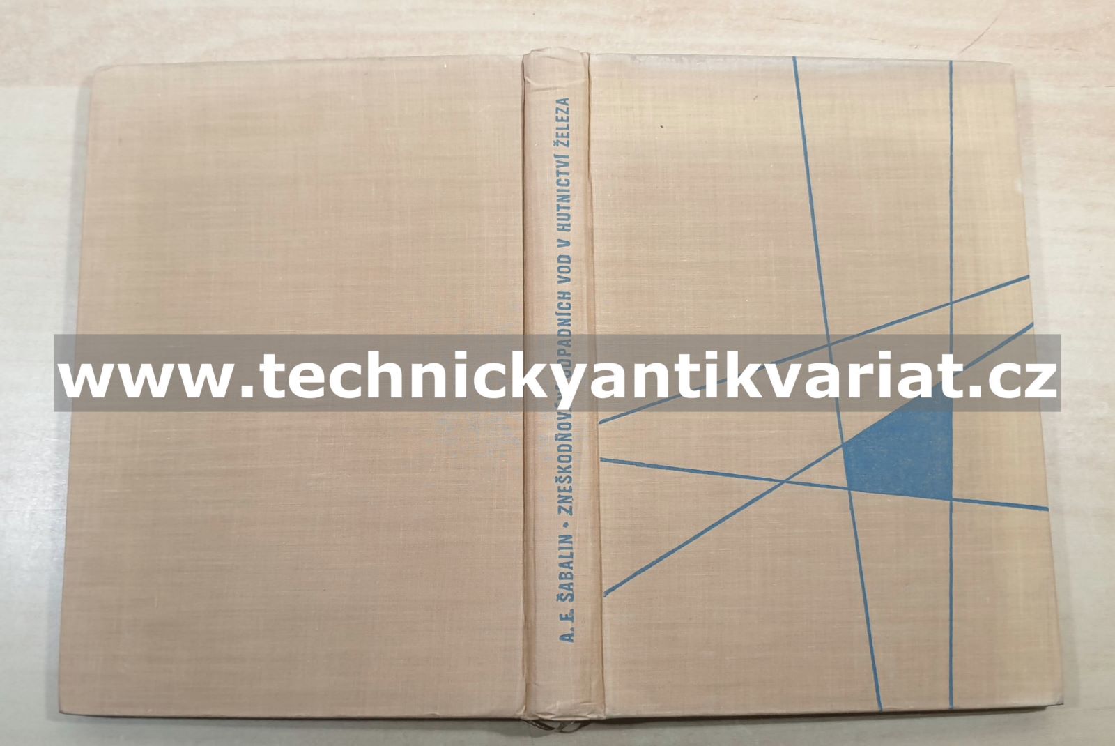 Zneškodňování odpadních vod v hutnictví železa - A.F. Šabalin (1963)