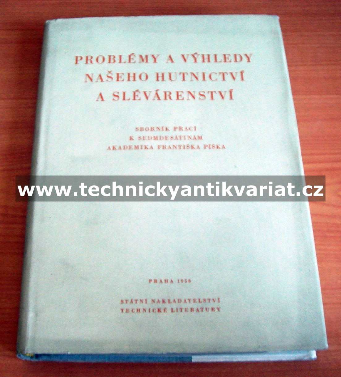 Problémy a výhledy našeho hutnictví a slévárenství