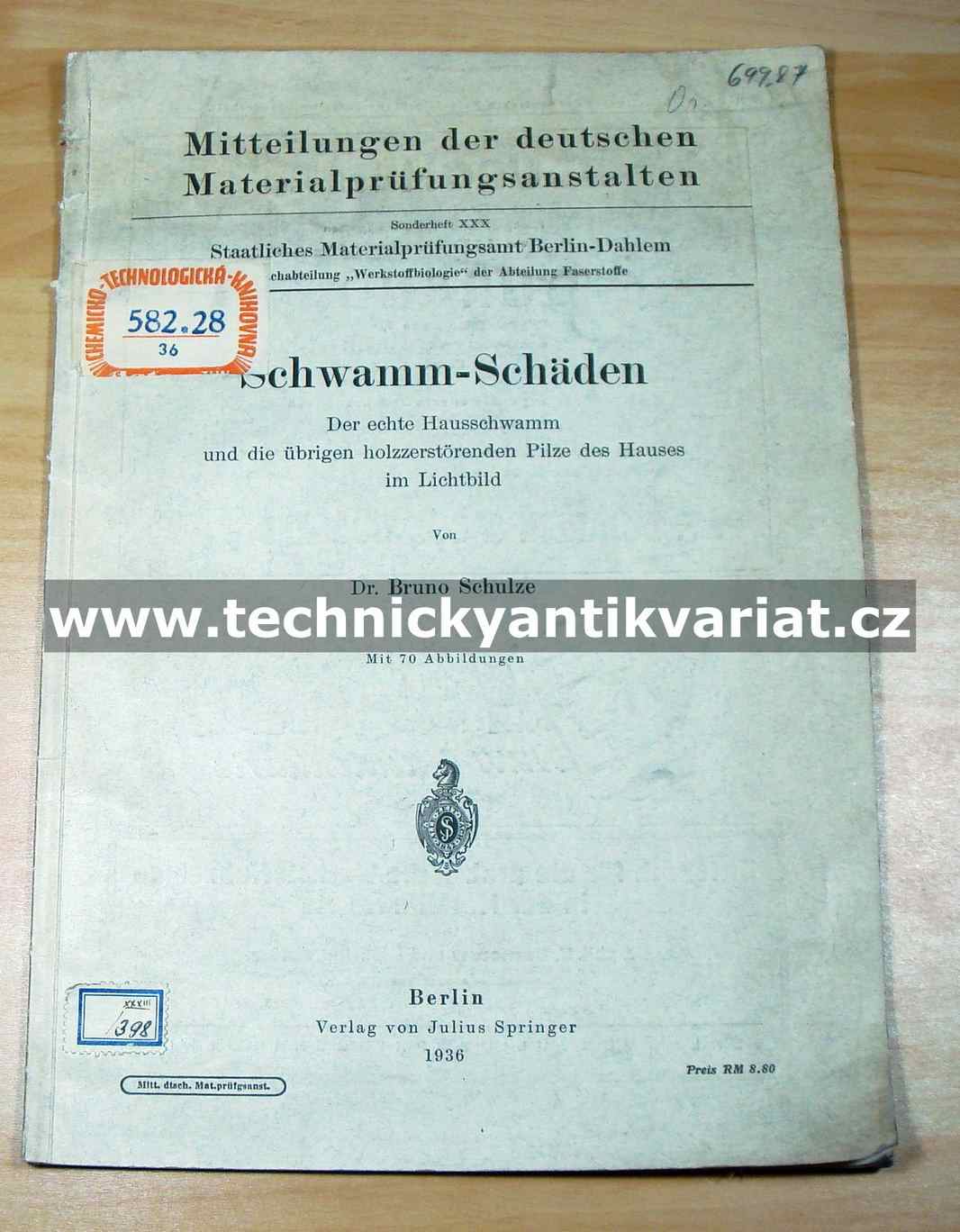Schwammschäden