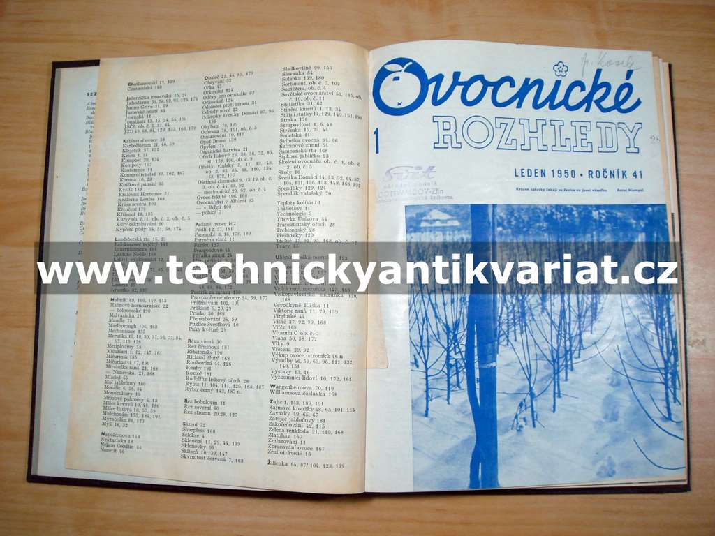 Ovocnické rozhledy 1950