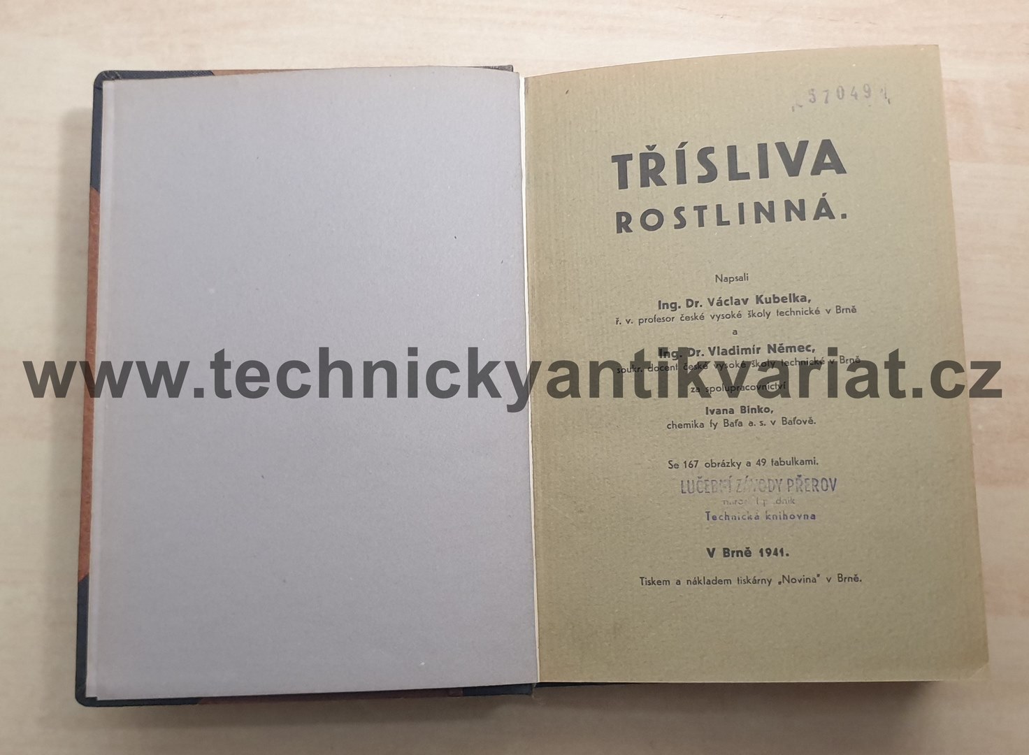 Třísliva rostlinná - Kubelka, Němec (1941)