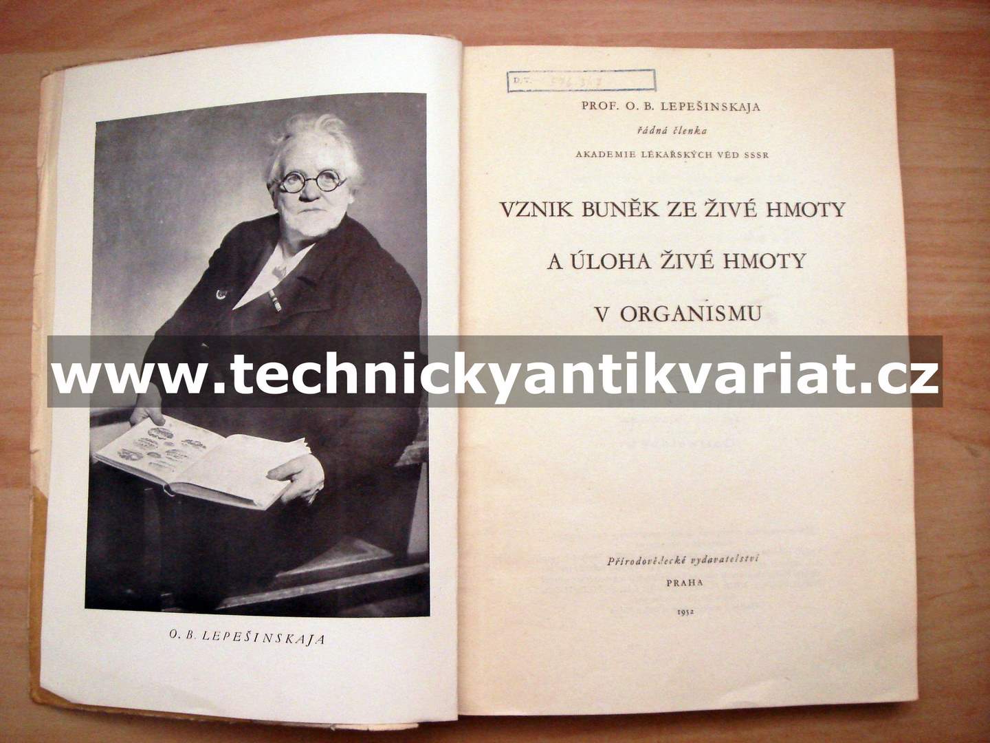 Vznik buněk ze živé hmoty a úloha živé hmoty v organismu