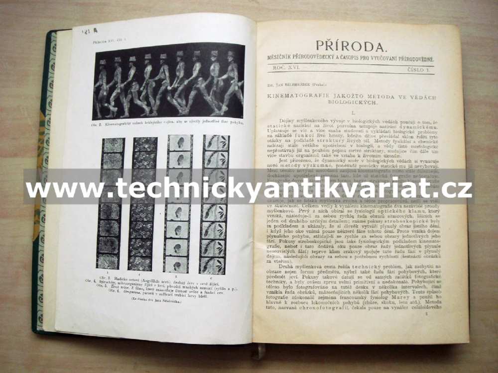 Příroda 1911