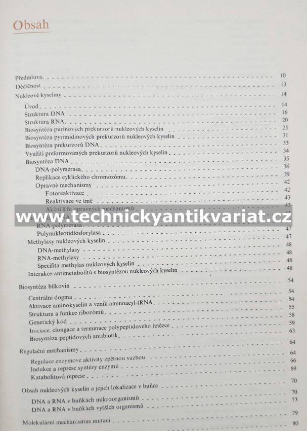 Molekulární genetika pro potravinářské chemiky a biochemiky - Škoda, Škodová (1984)
