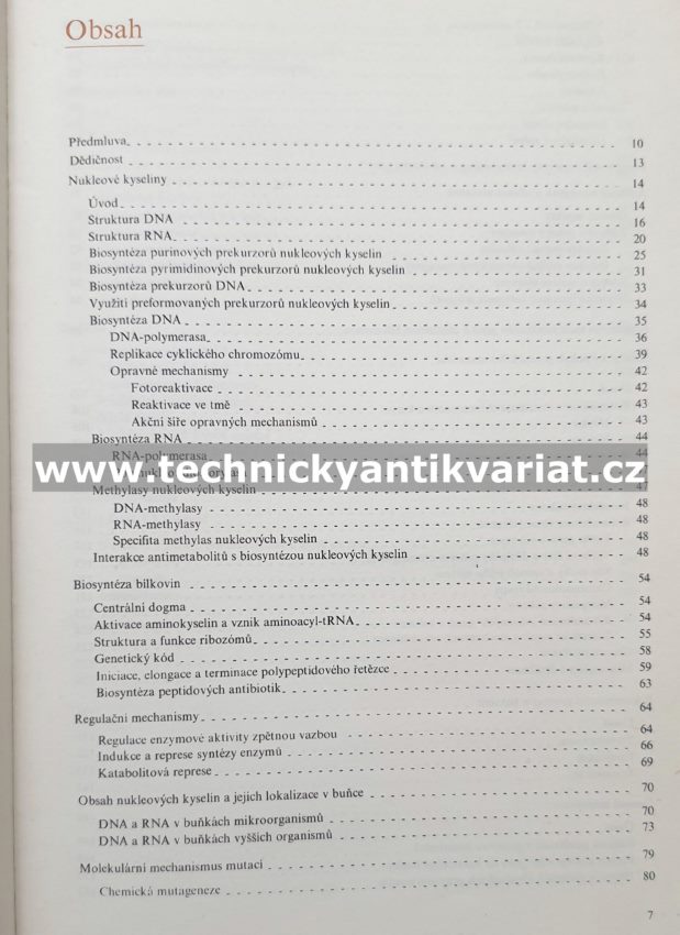 Molekulární genetika pro potravinářské chemiky a biochemiky - Škoda, Škodová (1984)