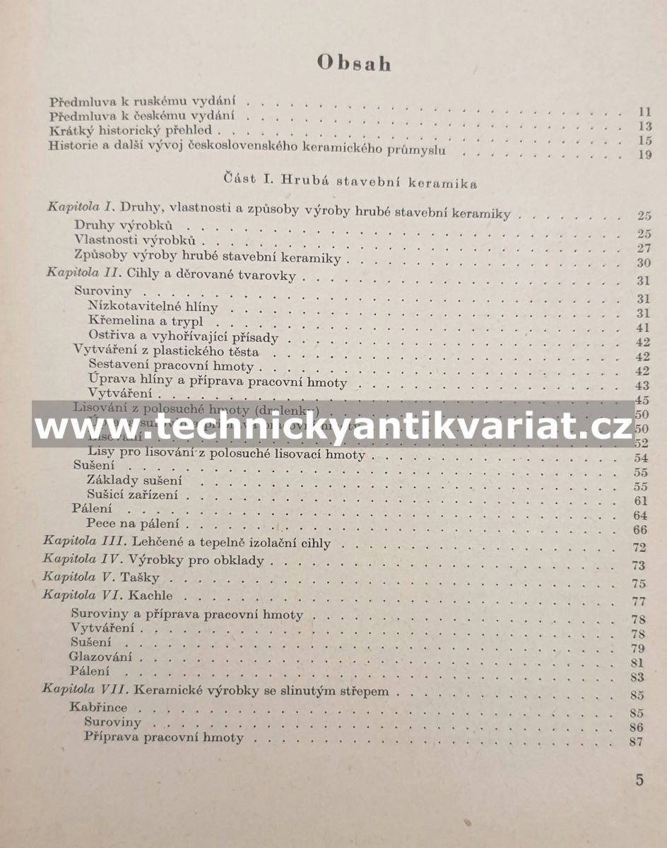 Technologie keramiky a žárovzdorného zboží - P. P. Budnikov (1960)