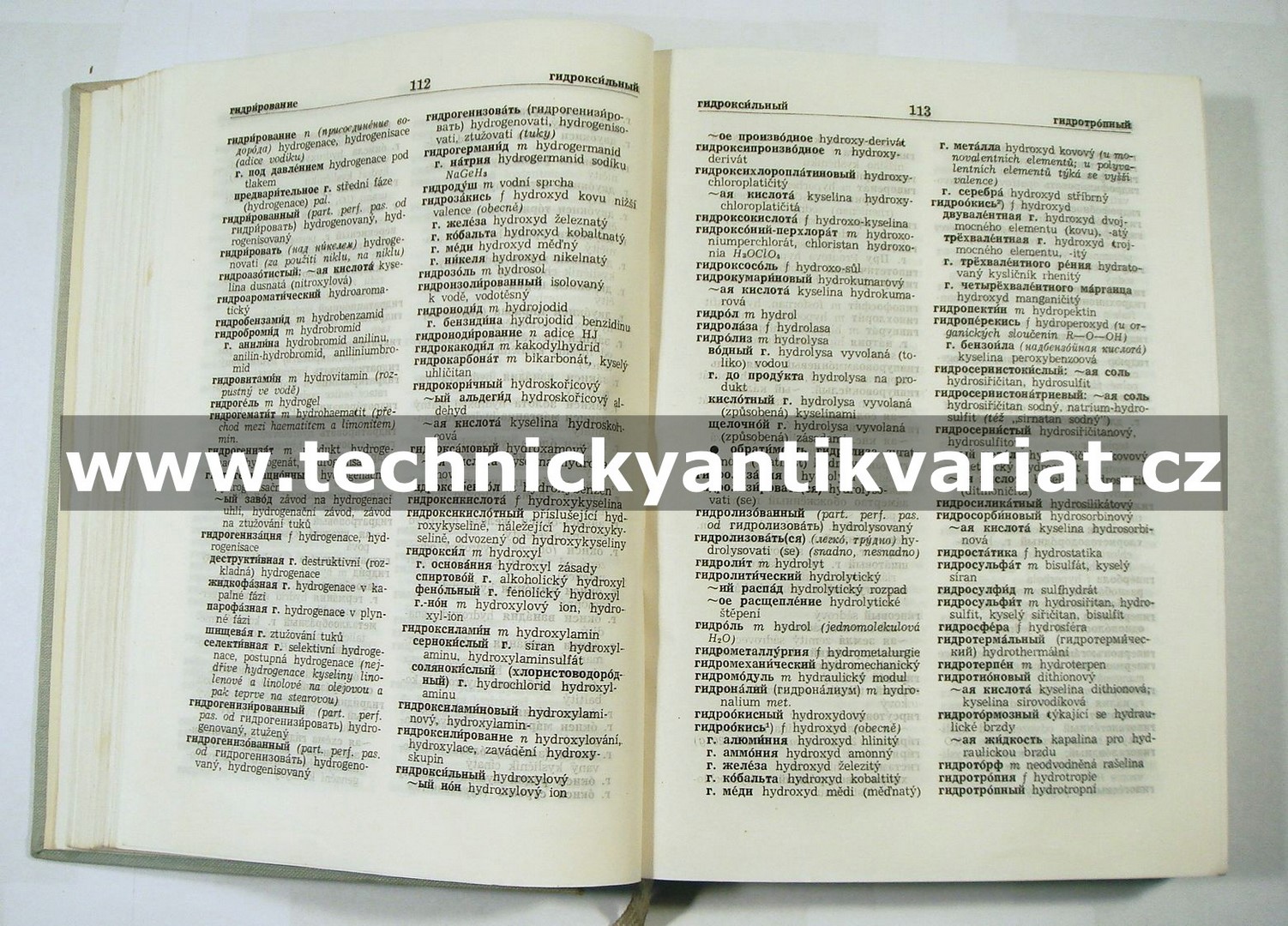 Rusko-český chemicko-technologický slovník