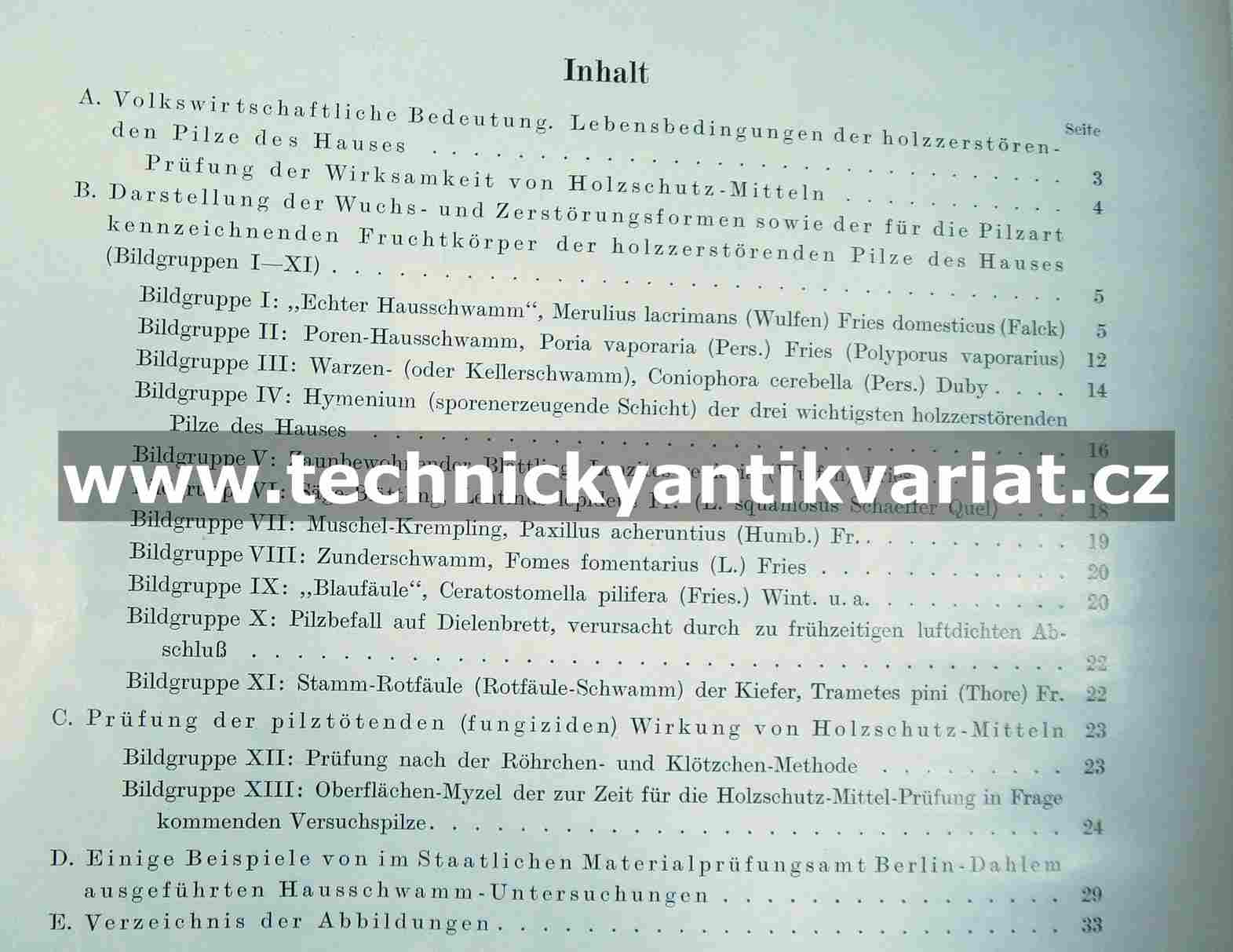 Schwammschäden