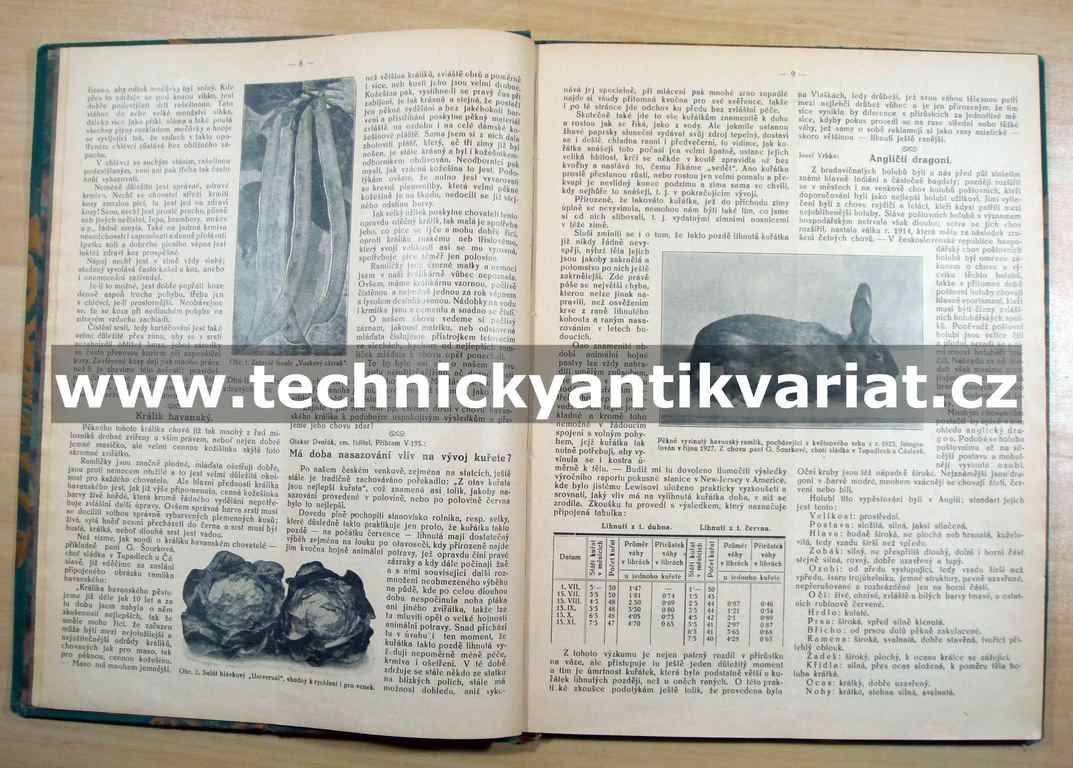 Praktický rádce pro zahradnictví 1928