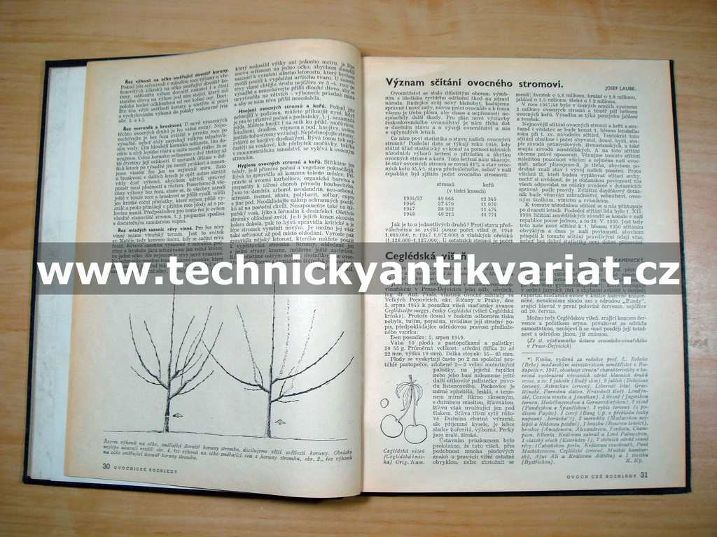 Ovocnické rozhledy 1950