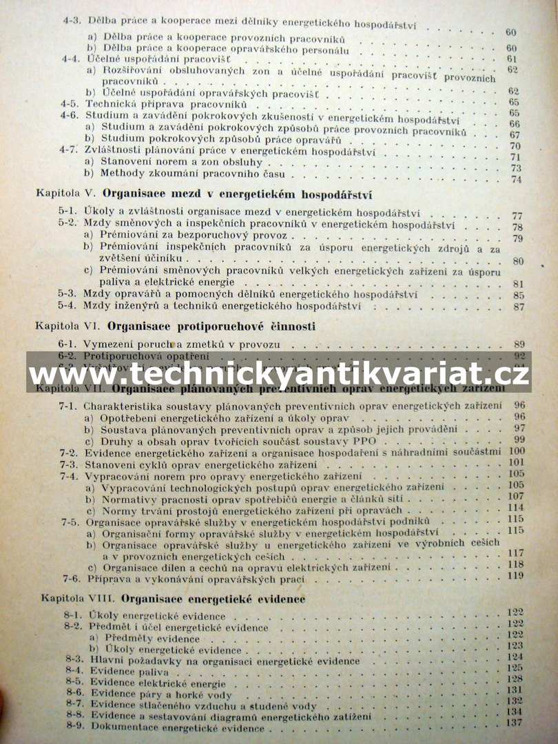 Organisace a plánování energetického hospodářství v průmyslových závodech
