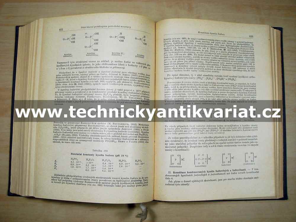 Anorganická chemie I. - Remy (1961)