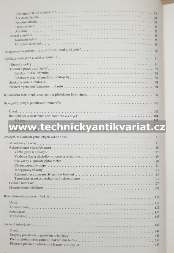Molekulární genetika pro potravinářské chemiky a biochemiky - Škoda, Škodová (1984)