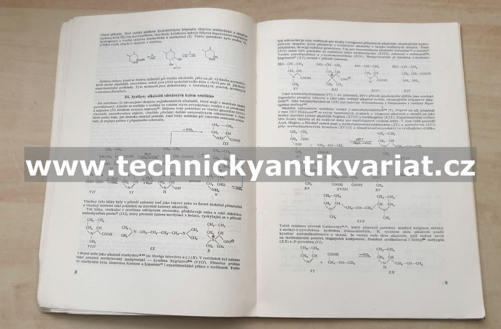 Synthesy alkaloidů za fysiologických podmínek, Alkaloidy s jádrem pyrrolicidinovým (1954)