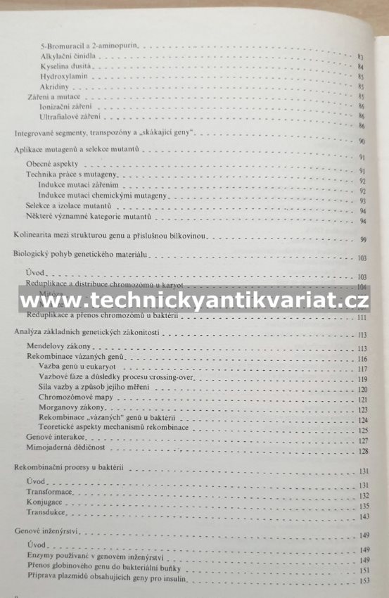 Molekulární genetika pro potravinářské chemiky a biochemiky - Škoda, Škodová (1984)