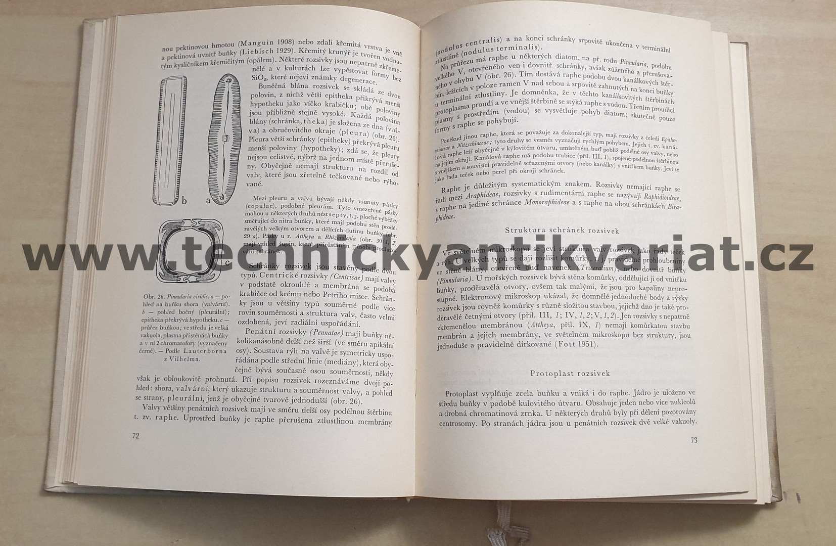 Sinice a řasy - Bohuslav Fott (1967)