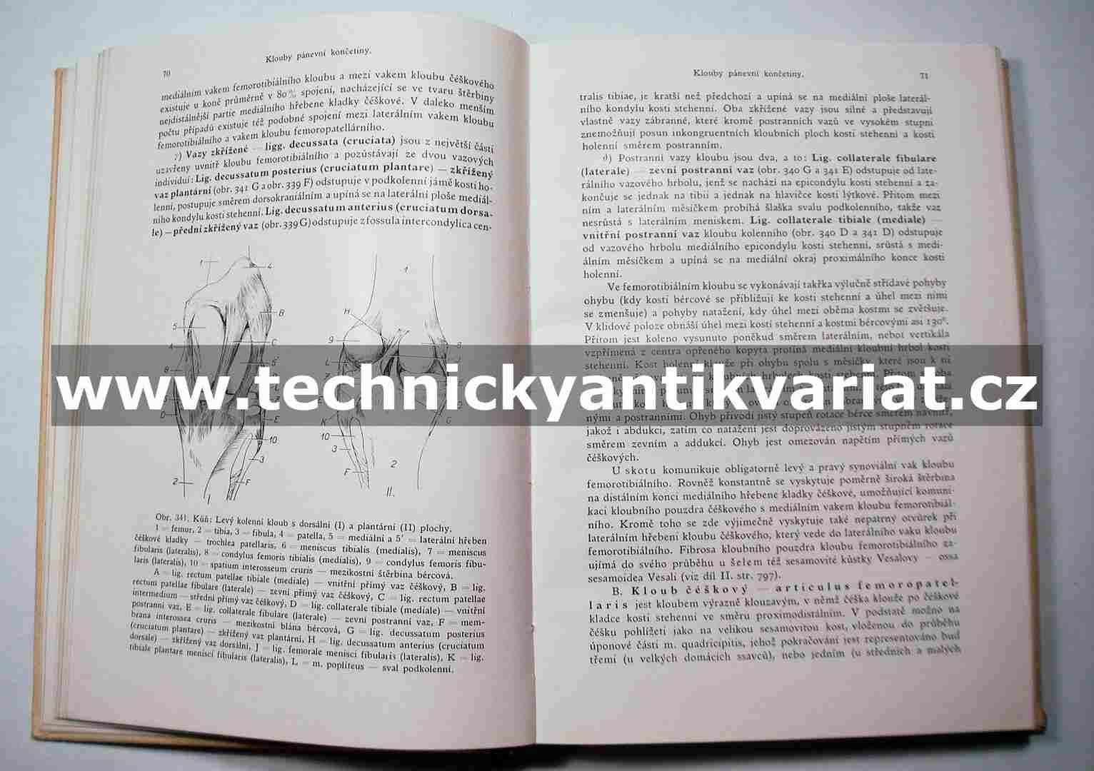 Srovnávací anatomie zvířat domácích III., IV.