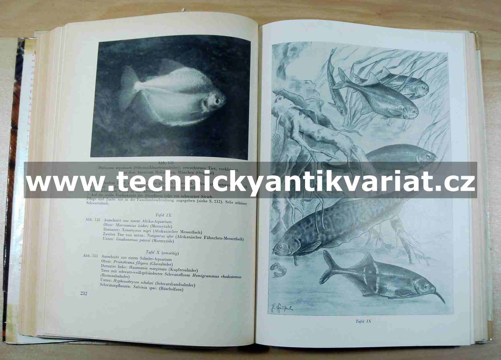 Aquarienkunde I.,II.