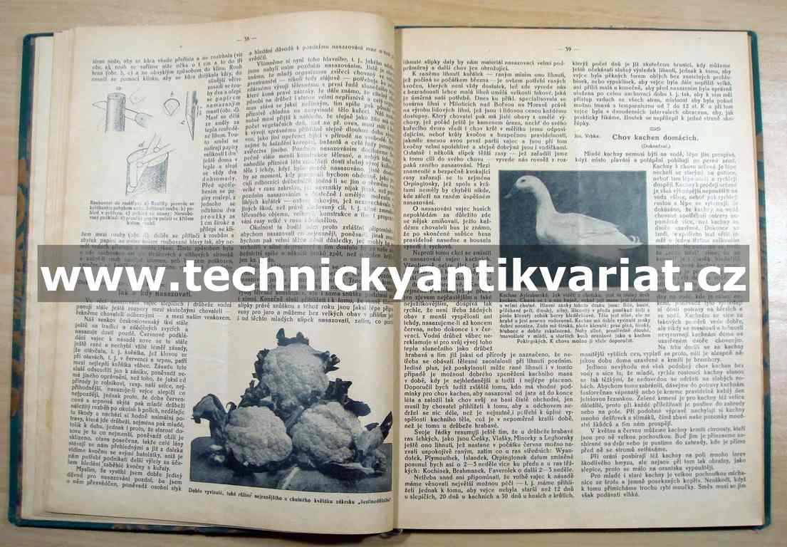 Praktický rádce pro zahradnictví 1928