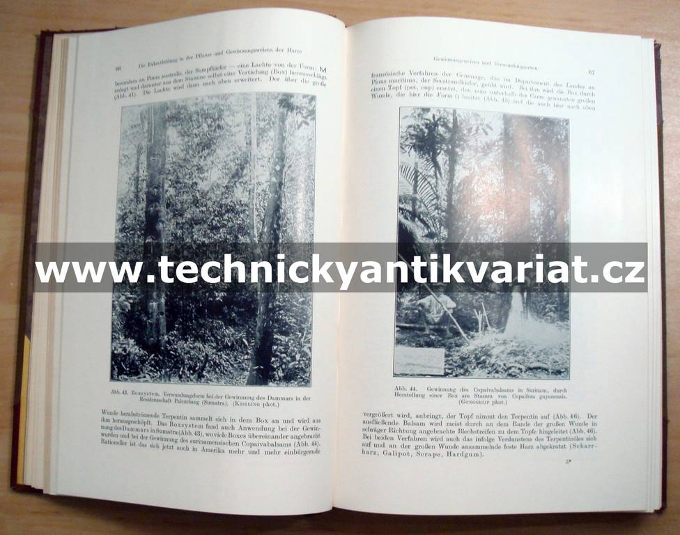 Die Harze 1933-1936