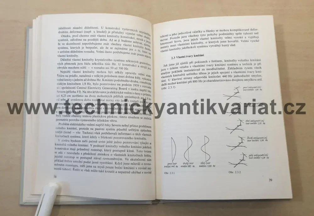 Kmitání - R.E.D. Bishop (1978)