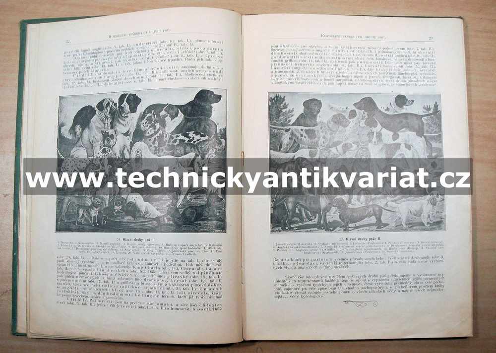 Všecky druhy psů slovem i obrazem - Václav Fuchs (1903)