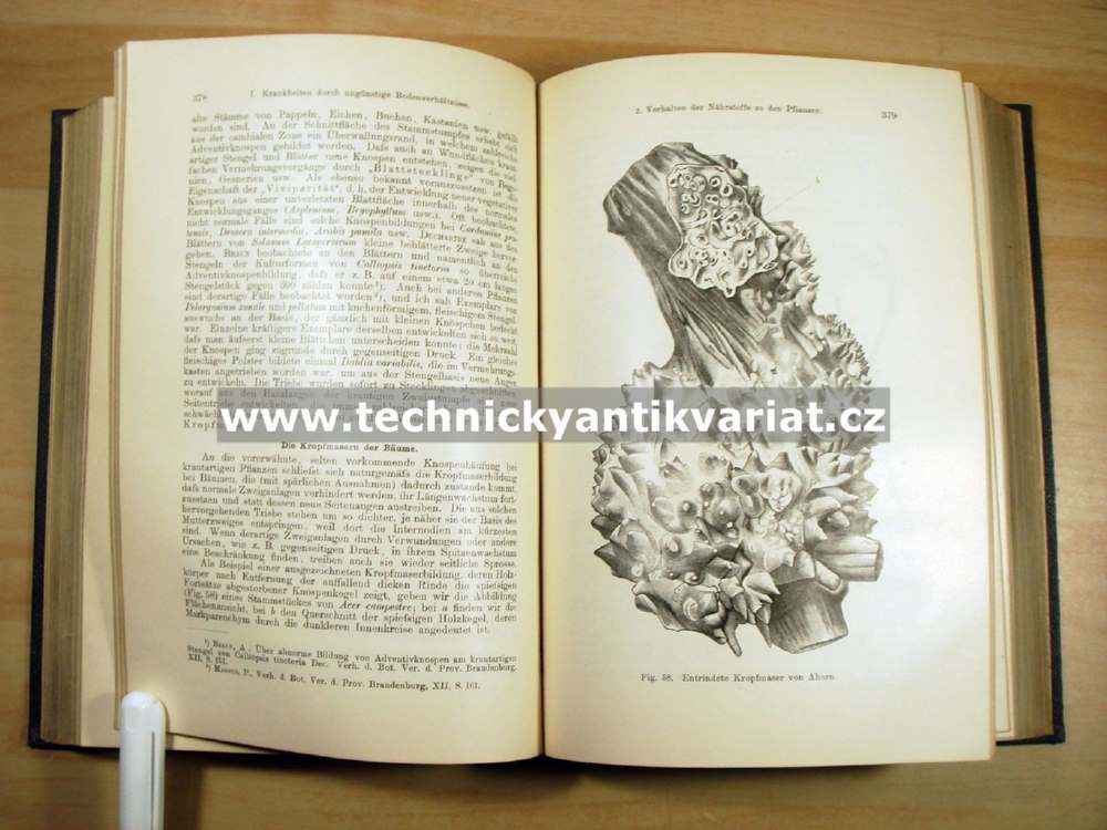 Handbuch der pflanzenkrankheiten - P.Sorauer - Erste Band (1909)