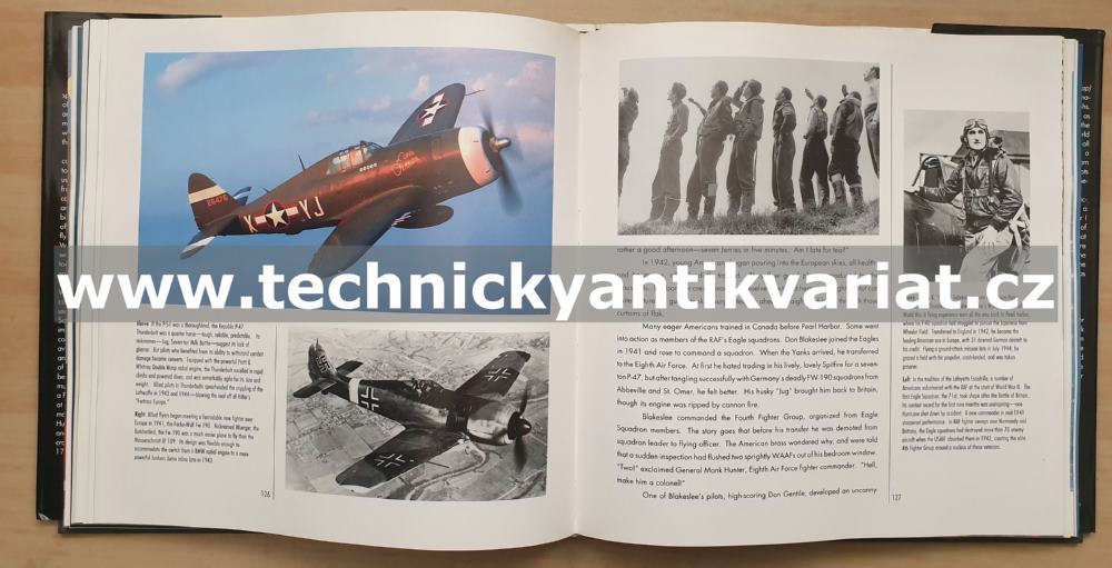 Fighters - Edwards Park