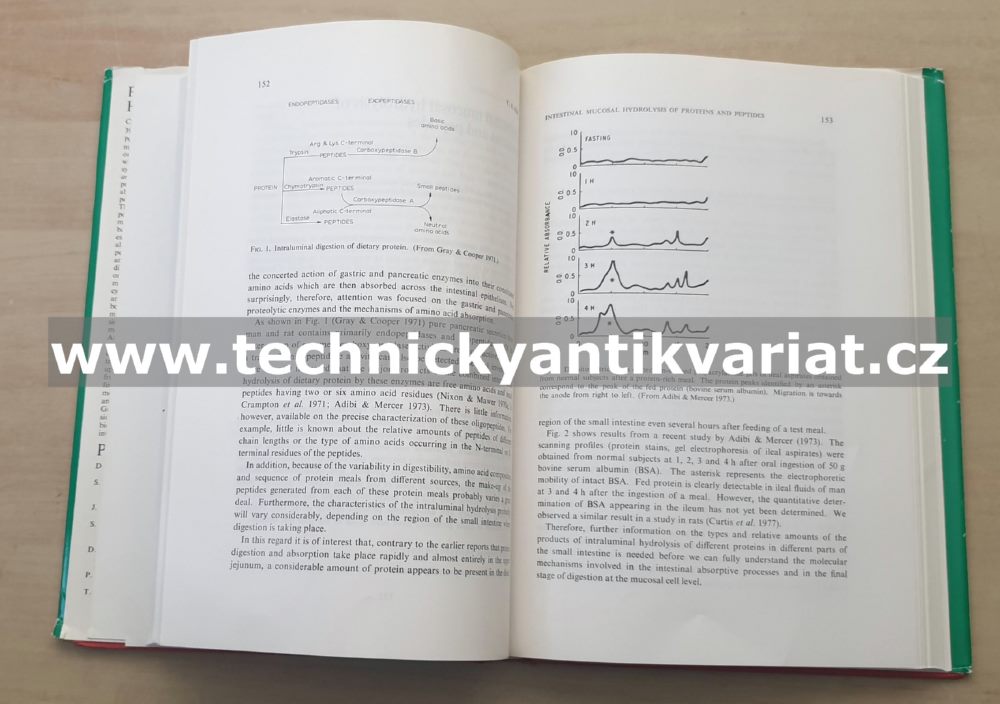 Peptide Transport and Hydrolysis (1977)