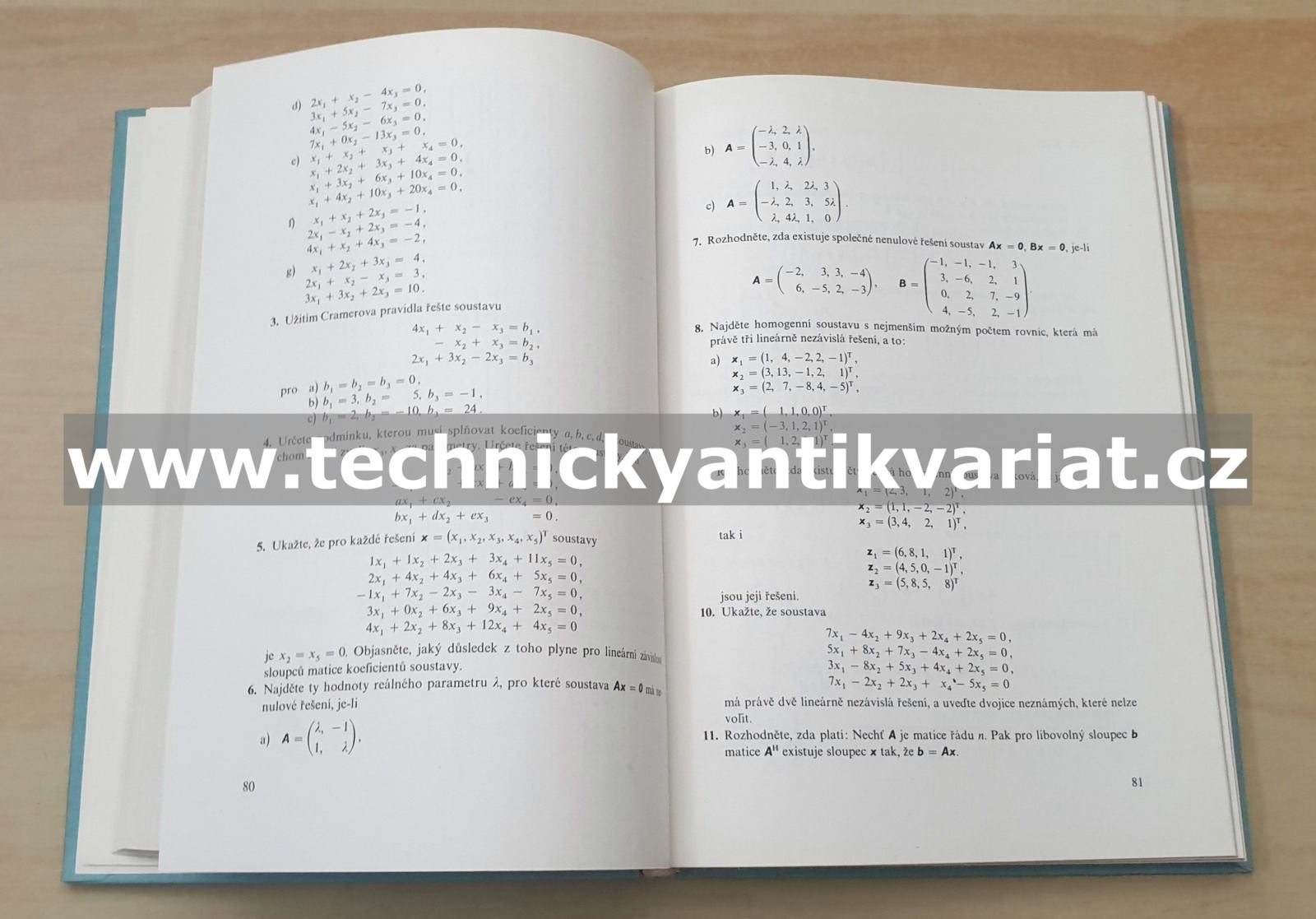 Lineární algebra - Havel, Holenda (1984)