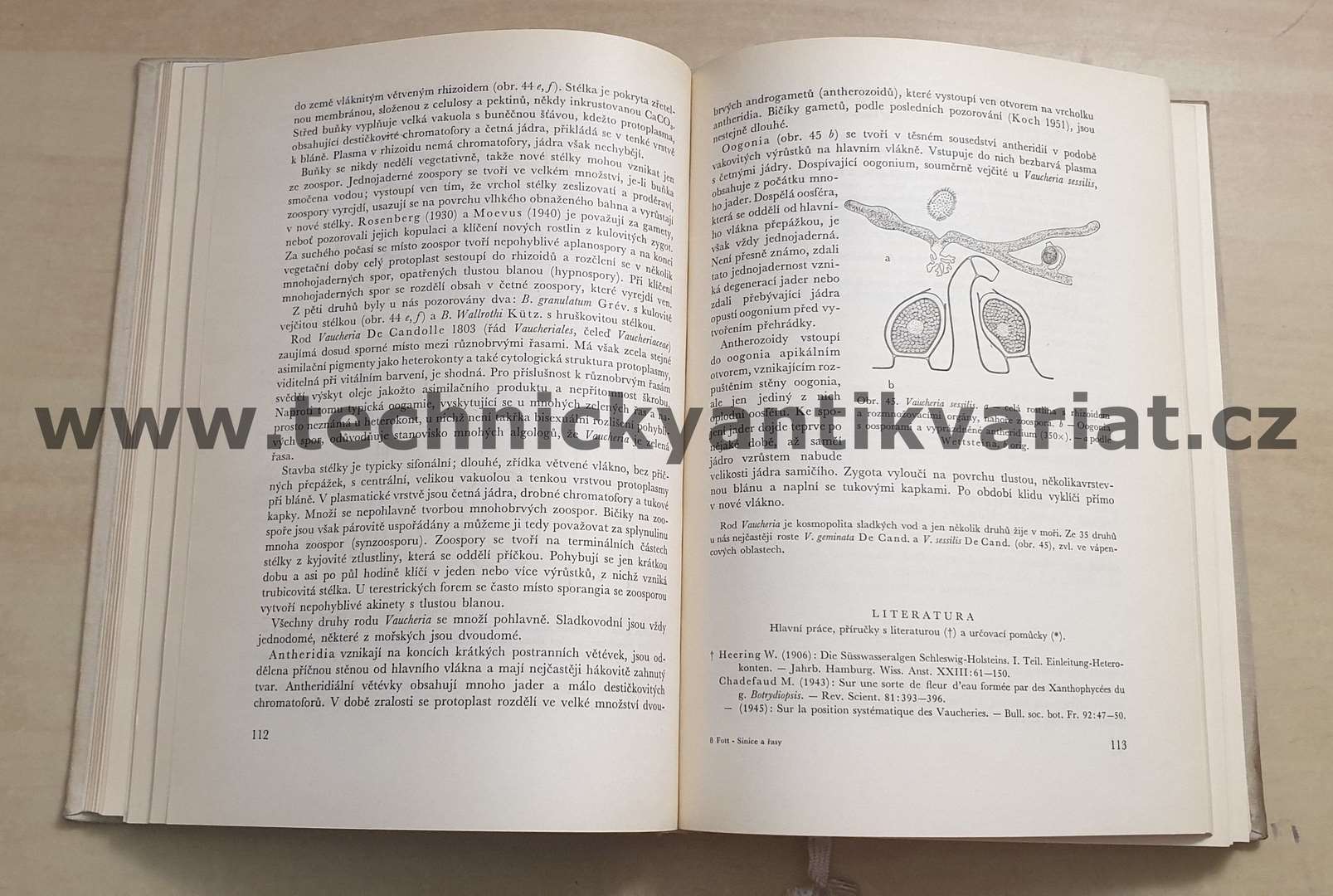 Sinice a řasy - Bohuslav Fott (1967)
