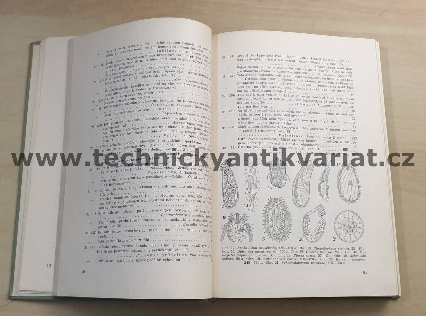 Klíč k určování zvířeny ČSR I. S.Hrabě (1954)