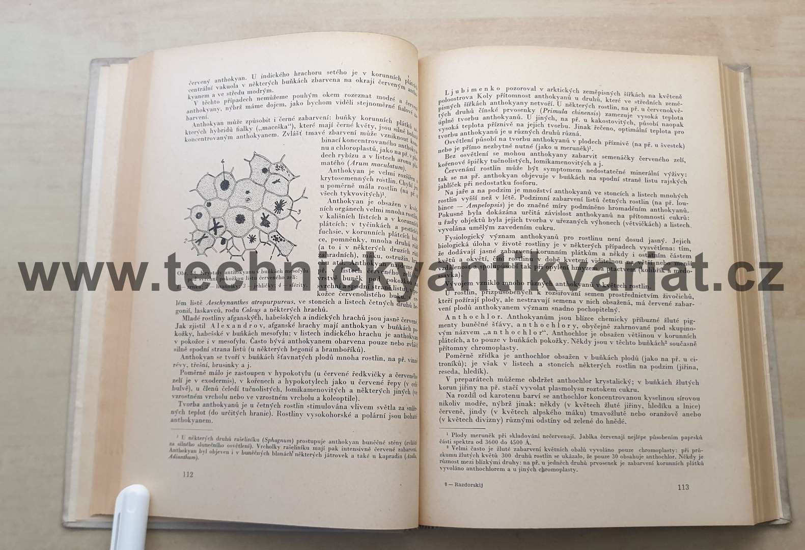 Anatomie rostlin - V.F. Razdorskij (1954)