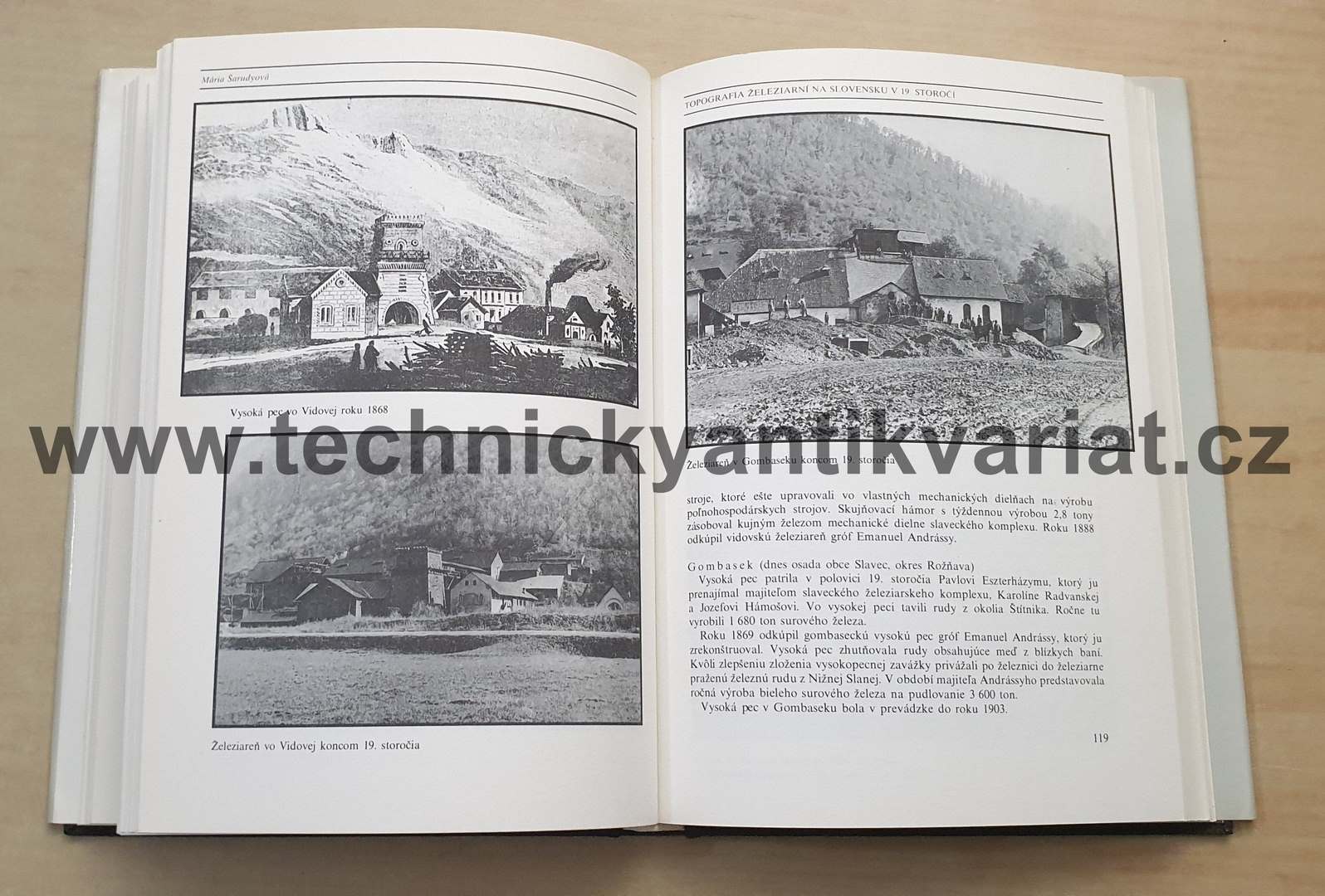 Topografia železární na Slovensku v 19.storočí - Mária Šarudyová (1989)