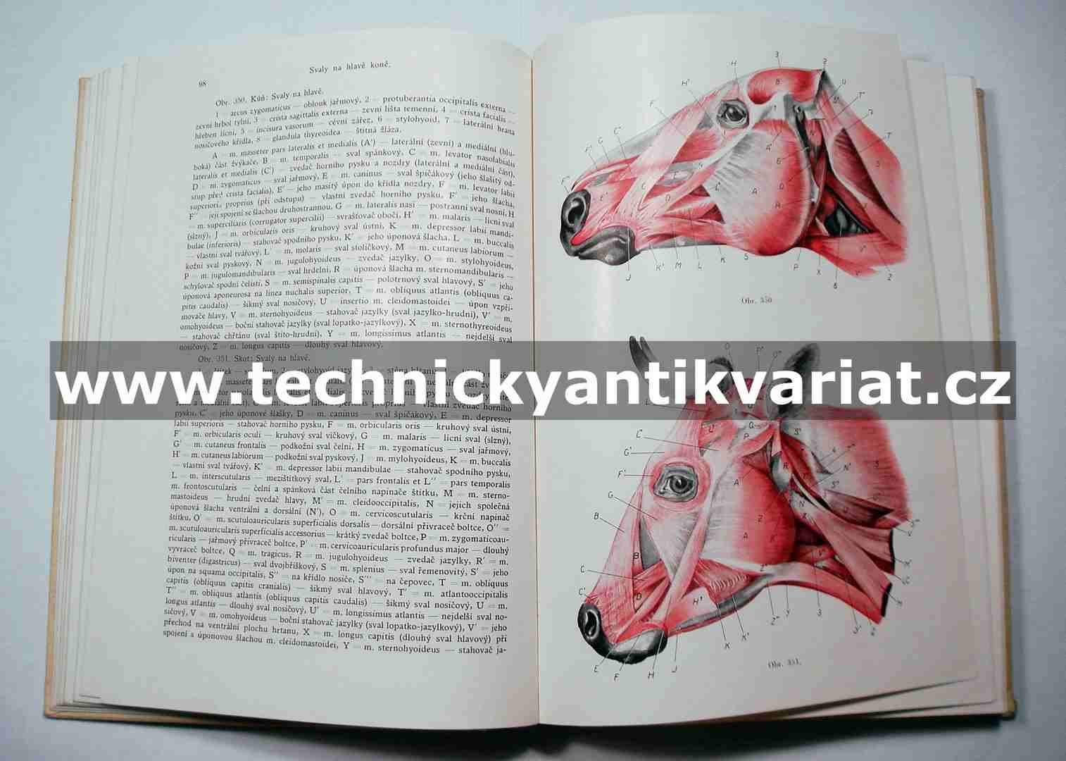 Srovnávací anatomie zvířat domácích III., IV.