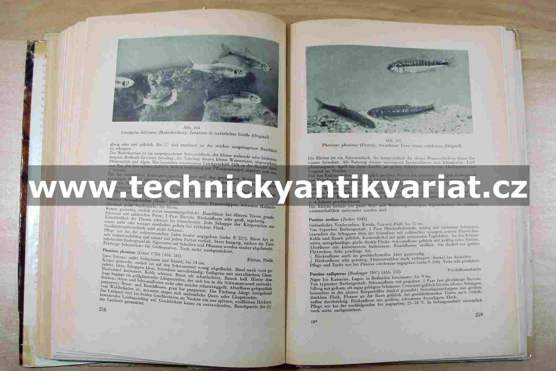 Aquarienkunde I.,II.