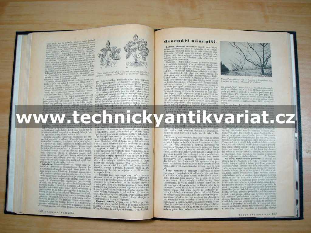Ovocnické rozhledy 1950