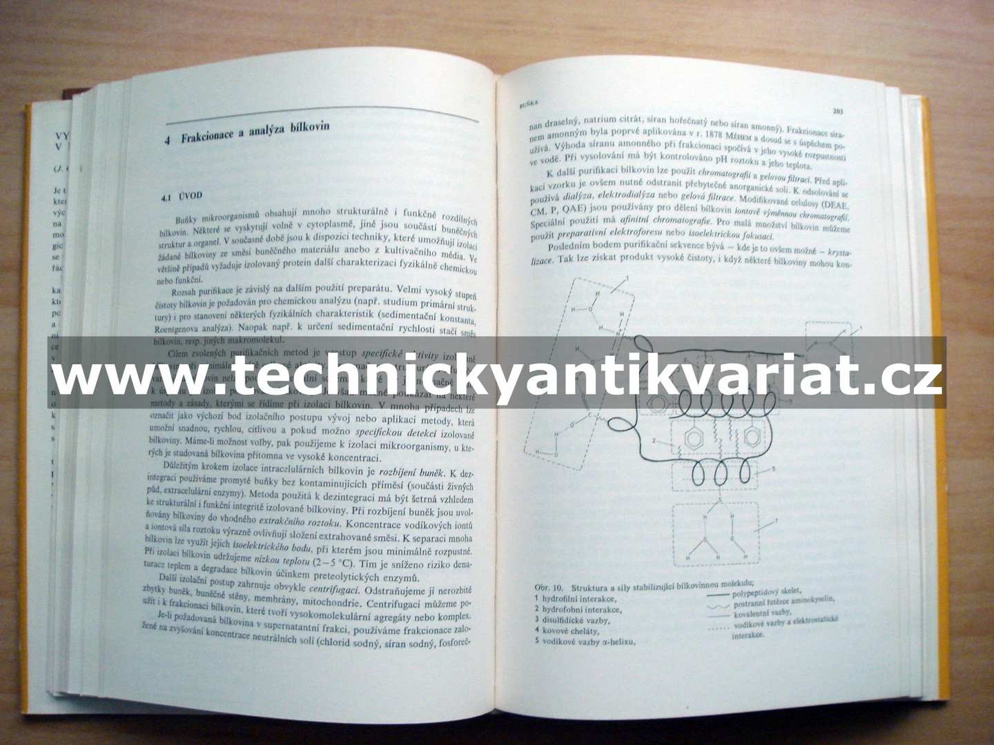 Vybrané metody v mikrobiologii