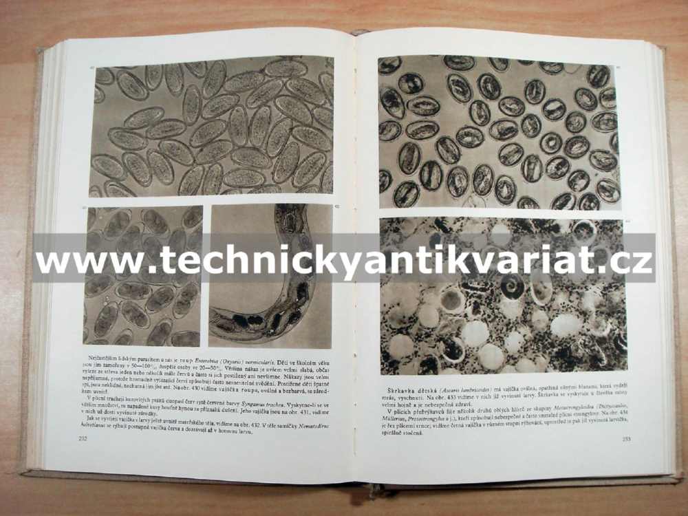 Život pod dobrohledem - Jírovec, Bouček, Fiala (1955)