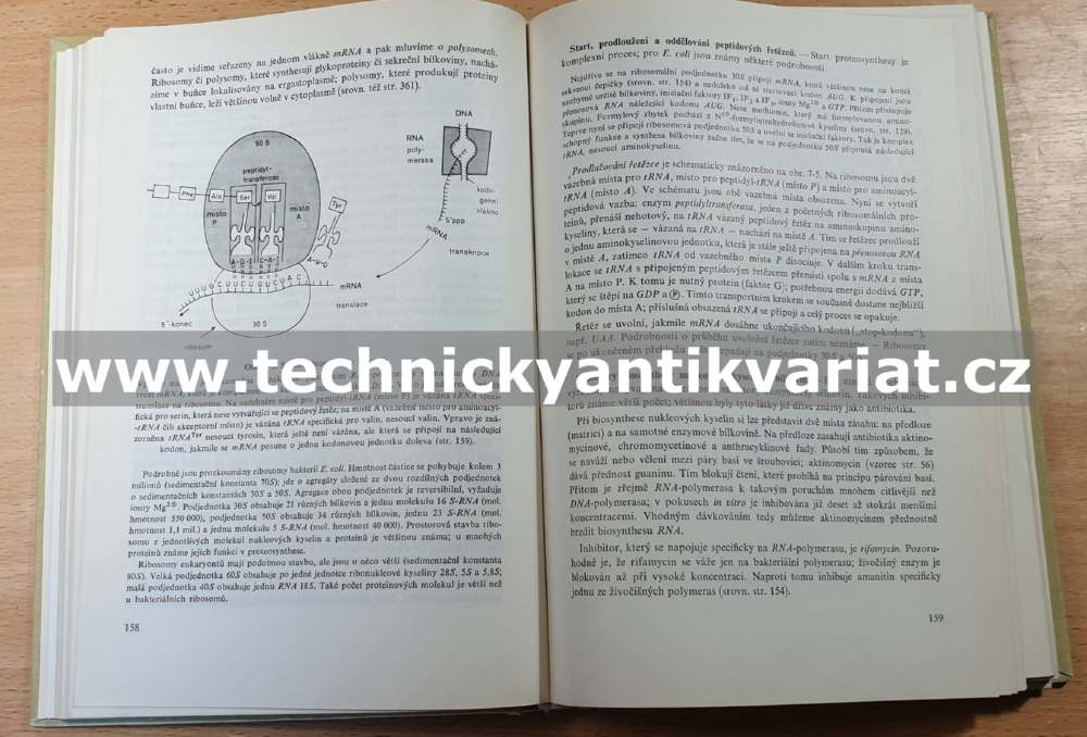 Základy Biochemie - P.Karlson (1981)