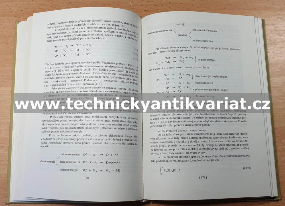 Základy teorie elektrických spekter - Nepraš, Titz (1983)