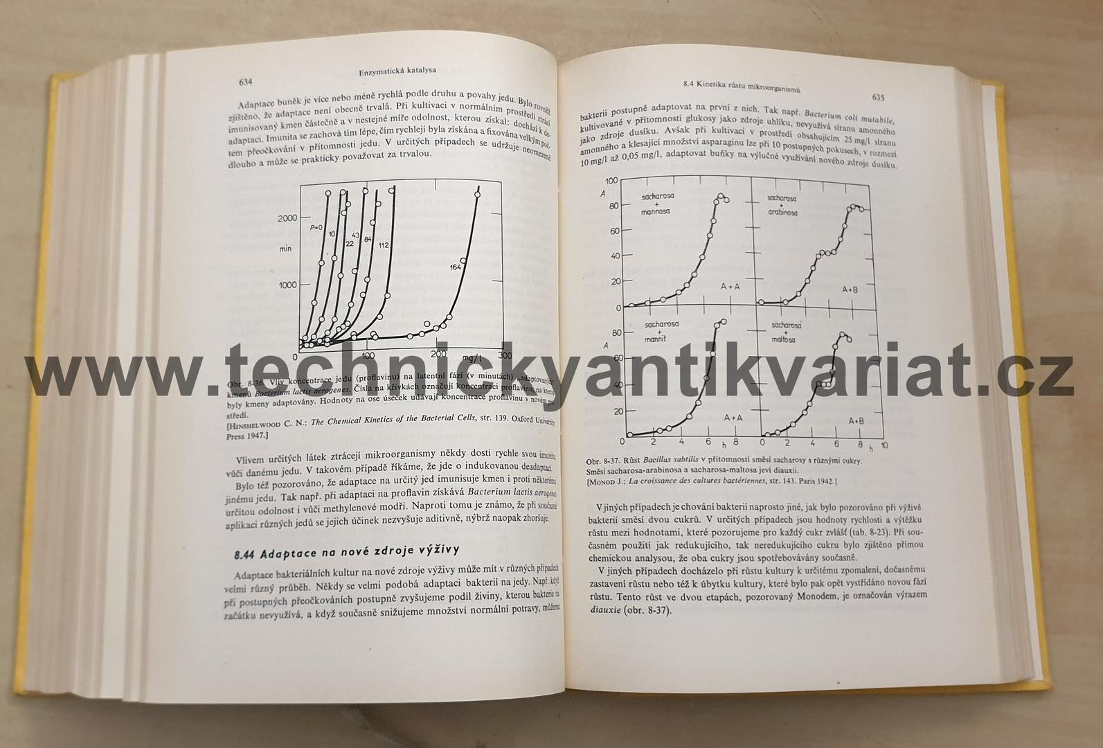 Chemická kinetika - J. C. Jungers (1963)