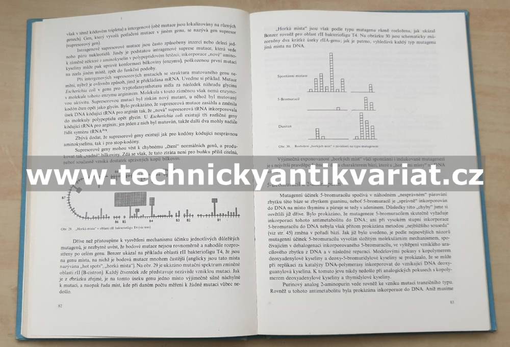 Molekulární genetika pro potravinářské chemiky a biochemiky - Škoda, Škodová (1984)