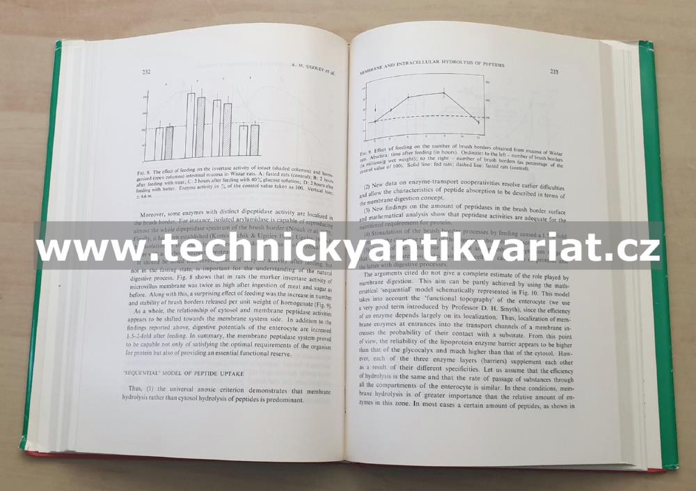 Peptide Transport and Hydrolysis (1977)