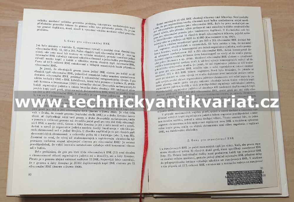 Evoluce genovou duplikací - Susumo Ohno (1975)