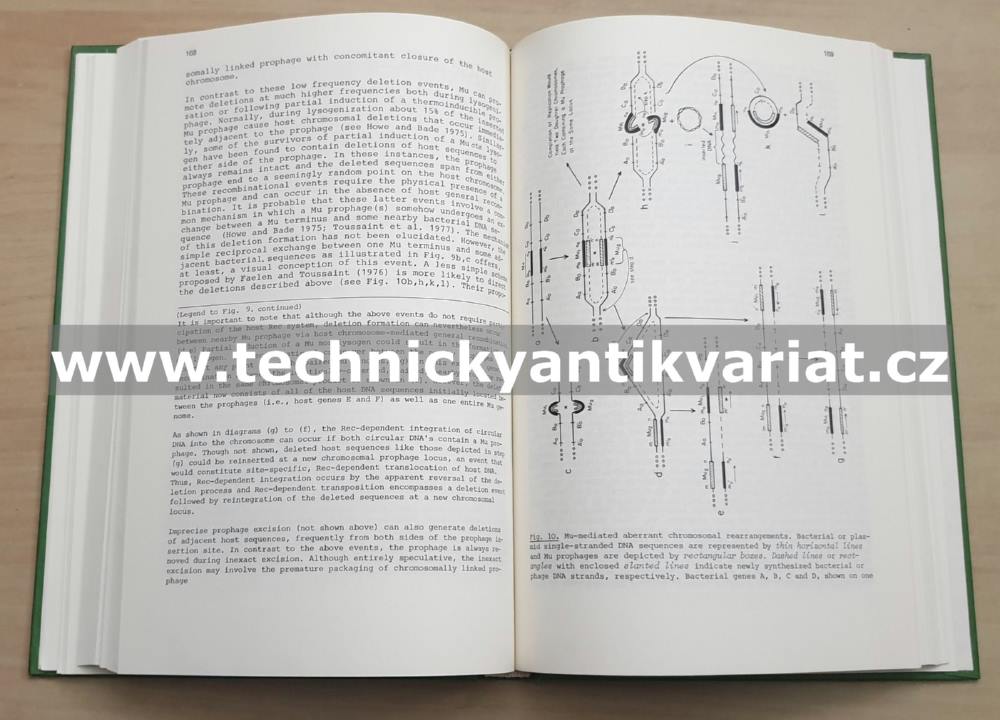 Progress in Molecular and Subcellular Biology Vol. 7 (1980)