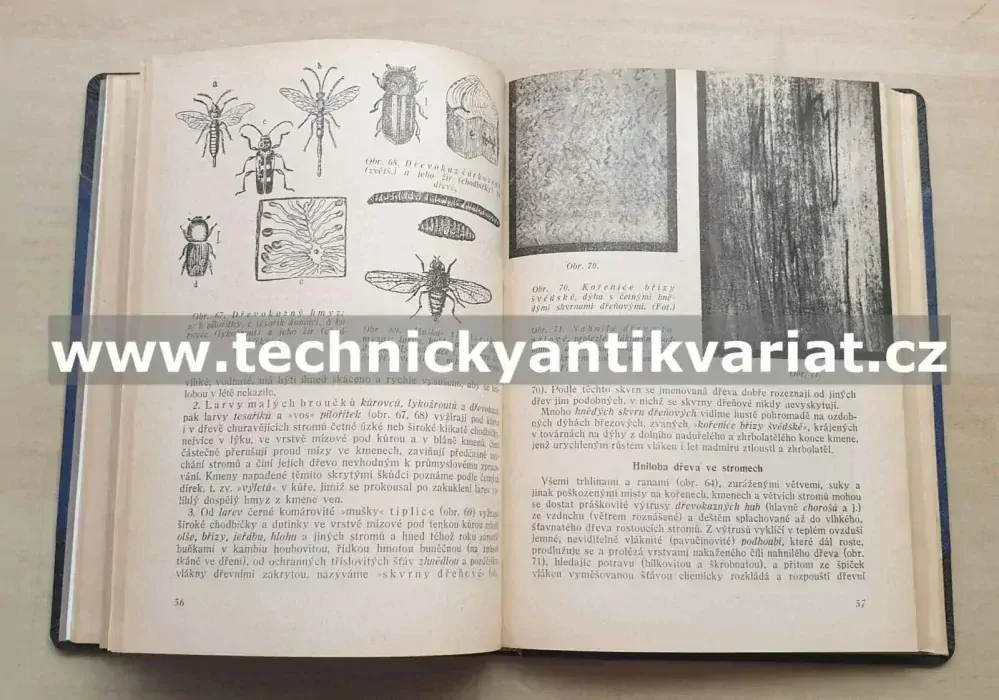 Názorná technologie dřeva - František Jirout (1951)