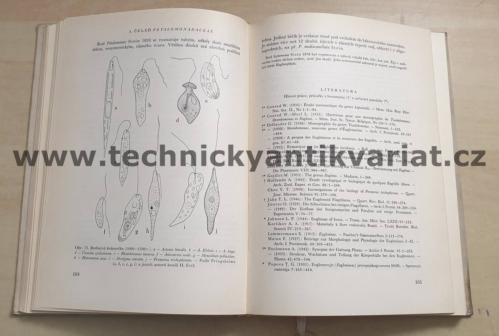 Sinice a řasy - Bohuslav Fott (1967)