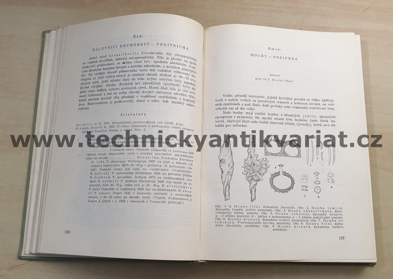 Klíč k určování zvířeny ČSR I. S.Hrabě (1954)