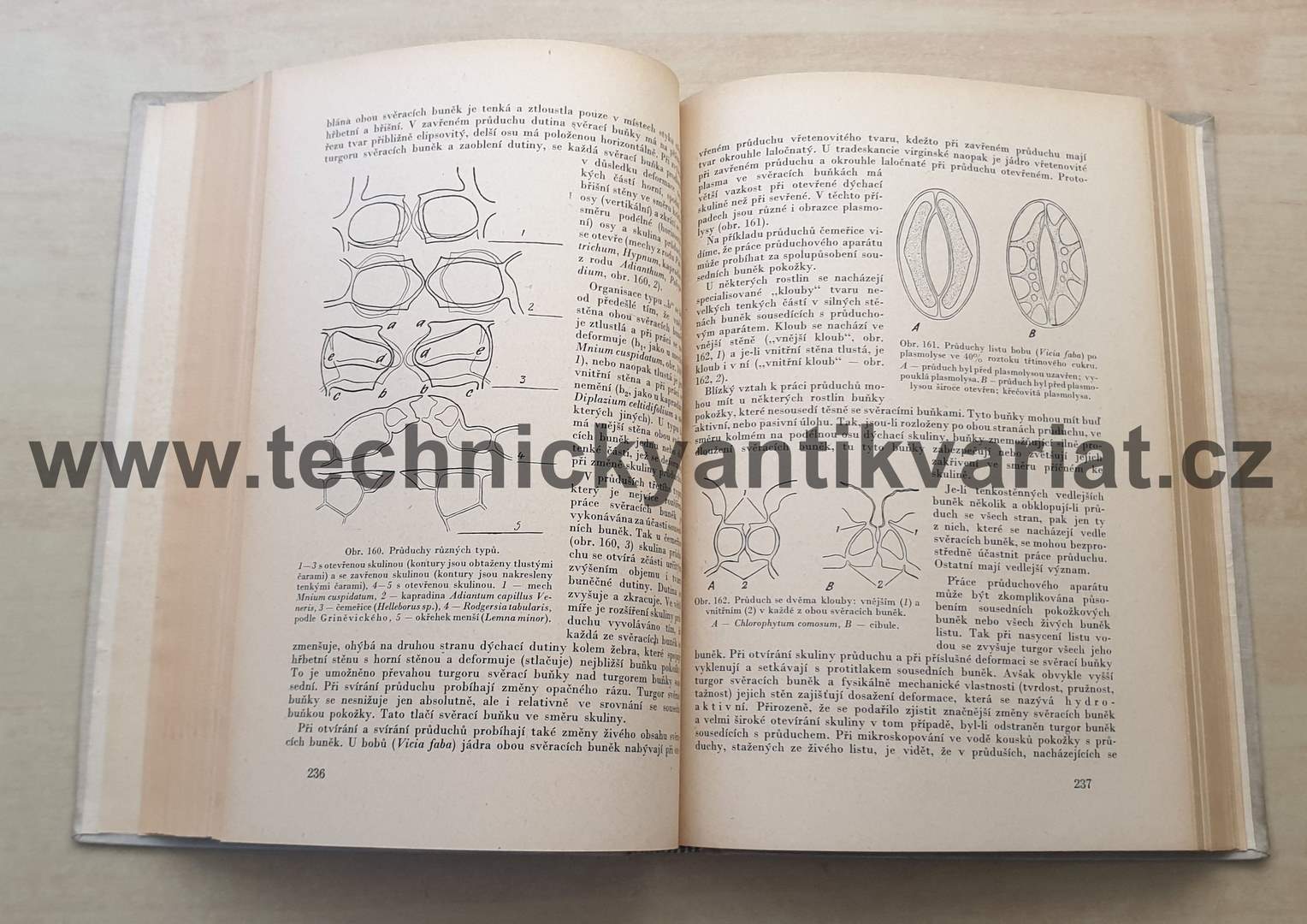 Anatomie rostlin - V.F. Razdorskij (1954)